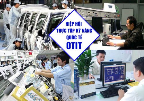 WHAT IS OTIT ORGANIZATION? INCREDIBLE BENEFITS OF OTIT WITH INTEREST IN JAPANESE