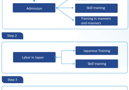 TTS support process (TT Japan)